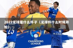 2022足球是什么杯子（足球杯什么时候开始）