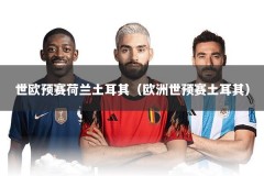 世欧预赛荷兰土耳其（欧洲世预赛土耳其）