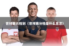 世预赛六档划（世预赛分档是什么意思）