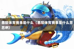 基层体育赛事是什么（基层体育赛事是什么意思啊）