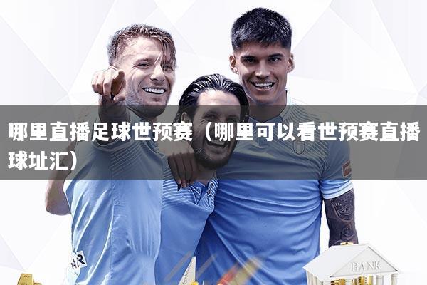 哪里直播足球世预赛(哪里可以看世预赛直播球址汇)
