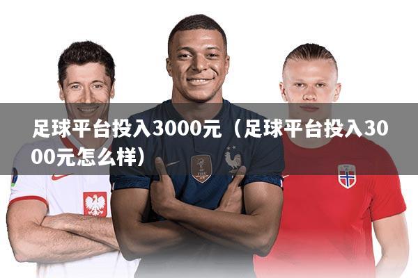 足球平台投入3000元(足球平台投入3000元怎么样)